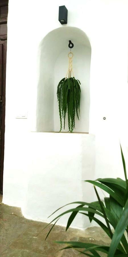 La Fuente 14, Casa Solariega En Pleno Centro Apartment Vejer de la Frontera Bagian luar foto